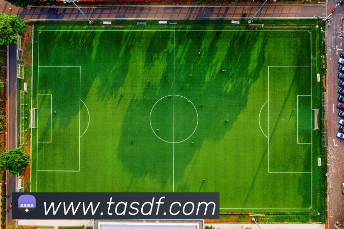 App Interface Preview