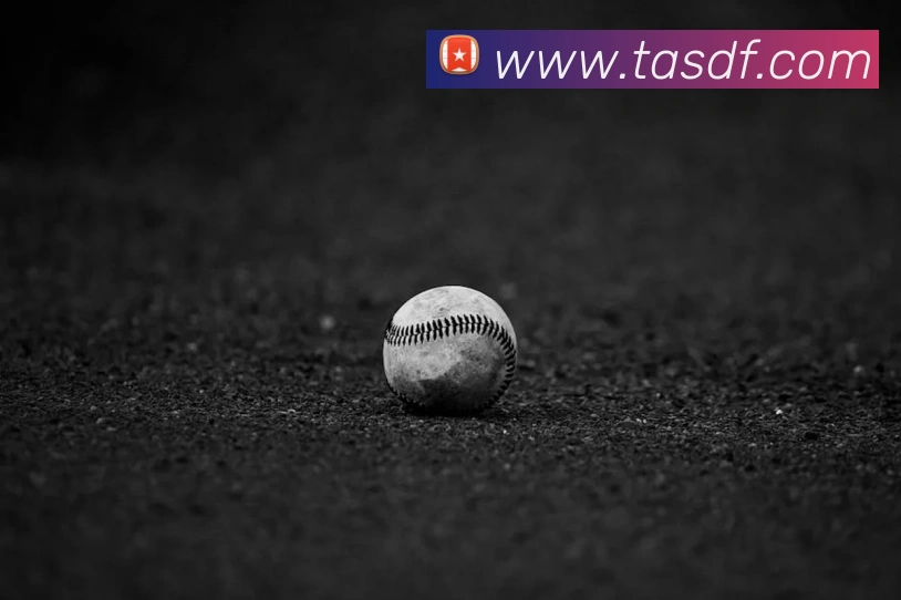 巅峰国际APP 封面图